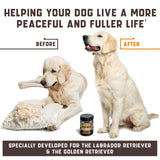 Calming Chews for Labrador Dogs with Valerian Root and Hemp Oil   Aid