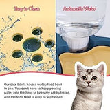 Elevated Tilted Food and Water Bowl Set, Raised Bowl with Automatic Water Dispenser Bottle for Cats and Small Dogs Kitten Puppy