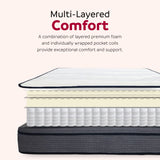 14 in. Hybrid Plush Queen Size Foam Mattress, Soft Polyester Knit Cover, Multi-Layer Foam Mattress, White/Gray