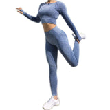 Seamless 2 Pcs Set Women Sport Suit Gym Workout Clothes Long Sleeve