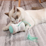 Electric Pet Smart Interactive Cat Toy Luminous Remote Control Car