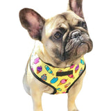 Breathable Small Dog Pet Harness Puppy Cat Vest Harness Collar For