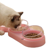 Pet Dog Cat Automatic Feeder Bowl for Dogs Drinking Water Bottle