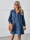 Button Up Flounce Sleeve Mini Denim Dress