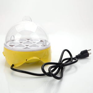 7-Egg Mini Practical Poultry Electric Incubator