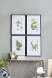 Set of 4 Botanical Black And White Fern Wall Art , Wall Decor for Living Room Dining Room Entryway, 20" x 28"