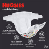 Huggies Special Delivery Hypoallergenic Baby Diapers Size 3;  156 Count