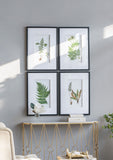 Set of 4 Botanical Black And White Fern Wall Art , Wall Decor for Living Room Dining Room Entryway, 20" x 28"