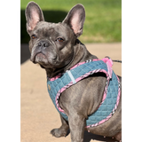 Step-In Denim Dog Harness - Pink Plaid