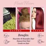 Hair Bloom Natural Red Hair Color- Henna w/ Mixed Himalayan Herbs Hair Color Powder- 12 Individual Sachets (10 gm each)- Reusable Brush & Tray Included by Pride of India