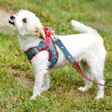 Step-In Denim Dog Harness - Red Plaid