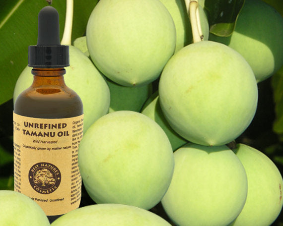 Virgin Vanuatu Tamanu Oil (organic, undiluted,